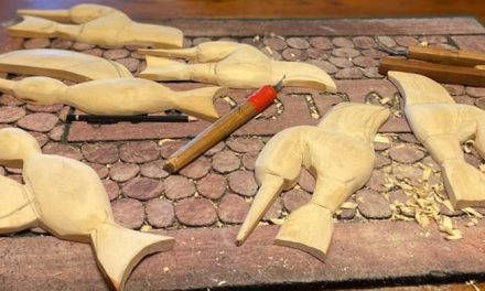 Carving in the Garden with Martin Sparrow Project Launch
