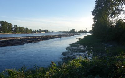 Fraser River Walk: An evening soundwalk along our southern river