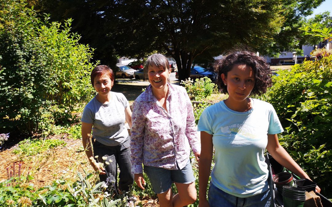 Gardening with Lori Snyder: Winter Edition