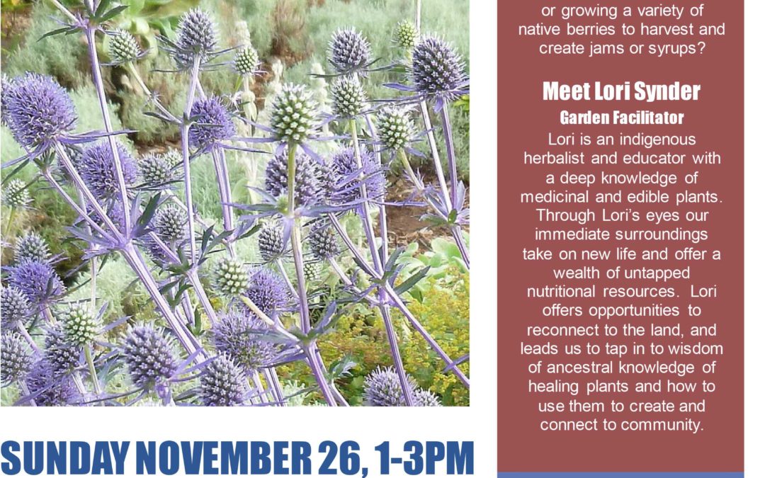 Lori Snyder Medicinal Garden