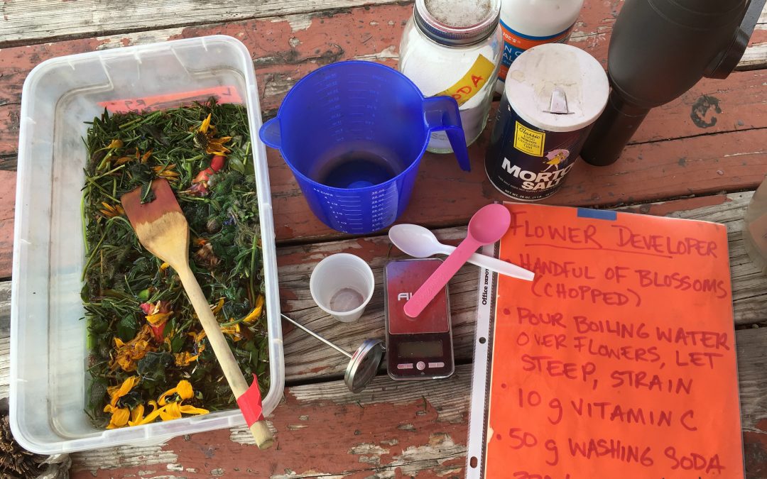 Echo Park Events!