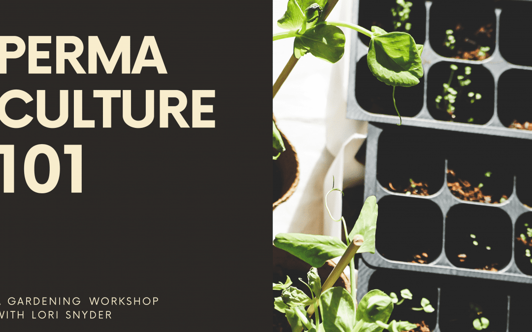 Permaculture 101