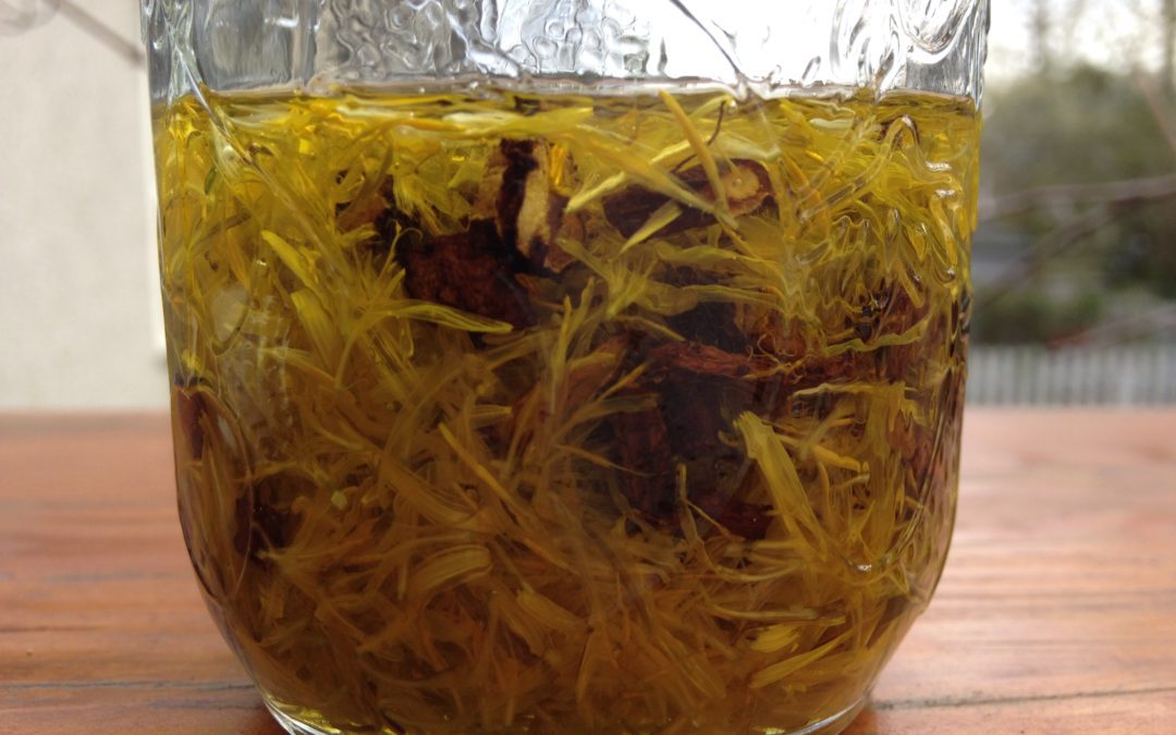 Apple Cider Vinegar and Dandelion Tincture