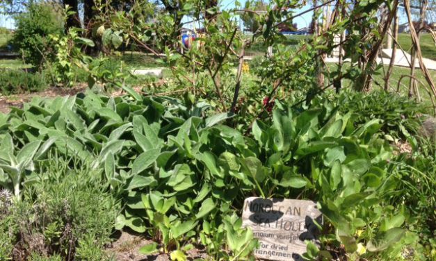 New Gardening Dates with Lori Snyder