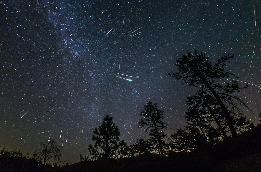 Perseids Meteor Shower